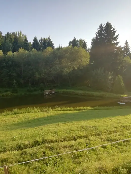 Első látogatásunk Csíkajnádon, 5. kép