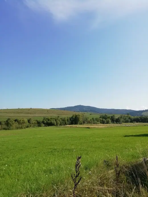 Első látogatásunk Csíkajnádon, 9. kép