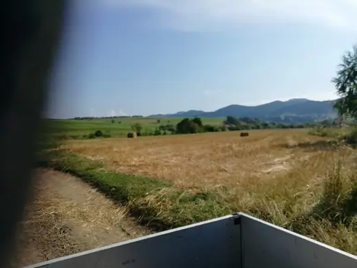 Első látogatásunk Csíkajnádon, 13. kép
