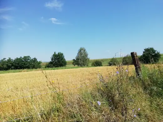 Első látogatásunk Csíkajnádon, 15. kép