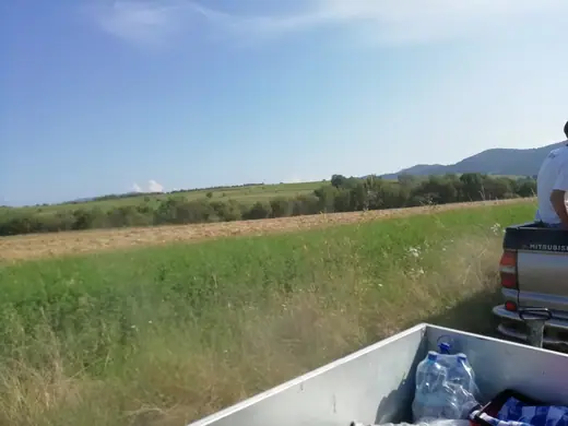 Első látogatásunk Csíkajnádon, 18. kép