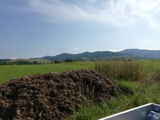 Első látogatásunk Csíkajnádon, 24. kép