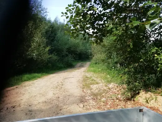 Első látogatásunk Csíkajnádon, 25. kép