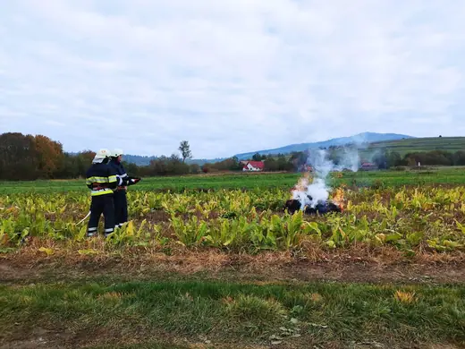 Közös gyakorlat Csíkajnádon, 55. kép