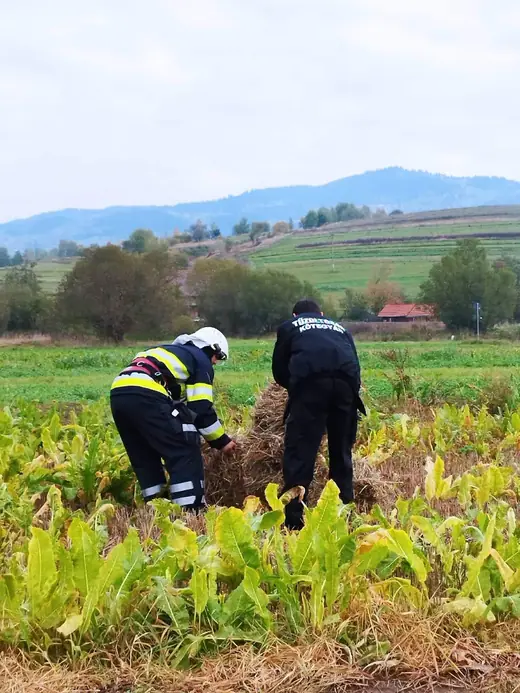 Közös gyakorlat Csíkajnádon, 63. kép