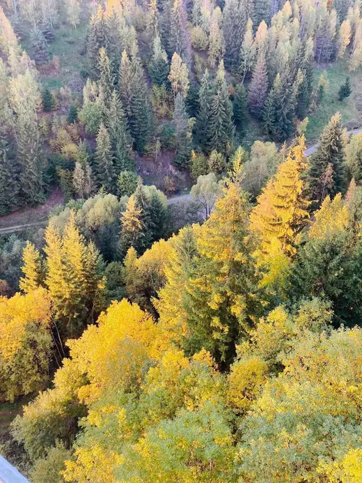 Közös gyakorlat Csíkajnádon, 132. kép