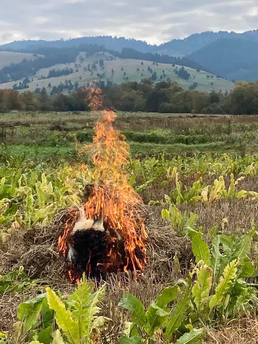 Közös gyakorlat Csíkajnádon, 159. kép