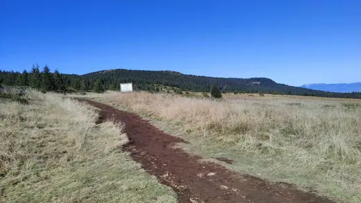 Kopjafa a Madarasi Hargitán, 2. kép