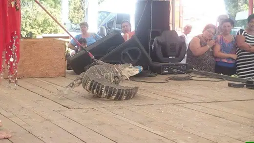 Falunap 2015, 55. kép