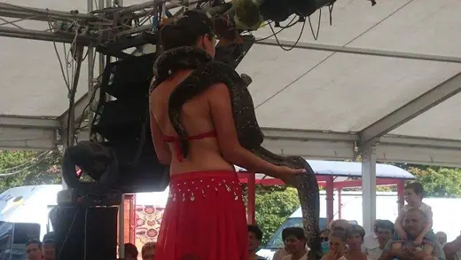 Falunap 2015, 56. kép