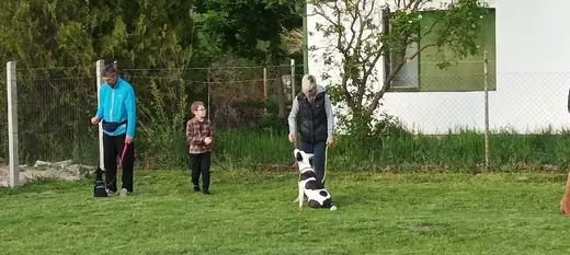 Joy, a mentőcsoport labradorja, 17. kép