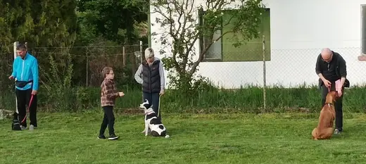 Joy, a mentőcsoport labradorja, 18. kép