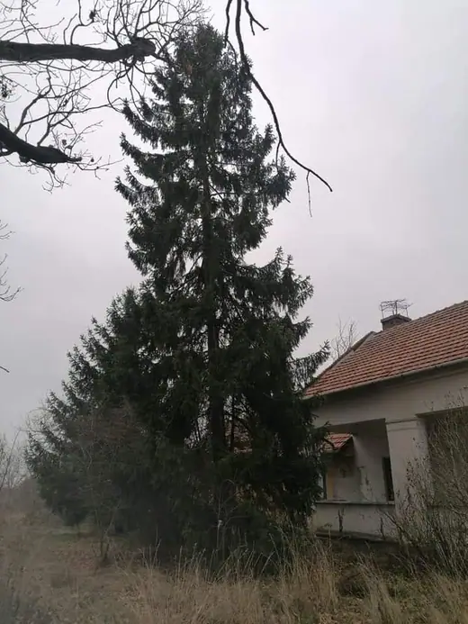 A laktanya felújítása, 20. kép