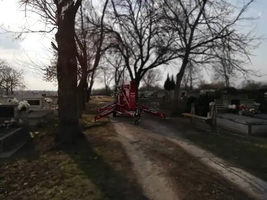 A temető fáinak gallyazása, 1. kép