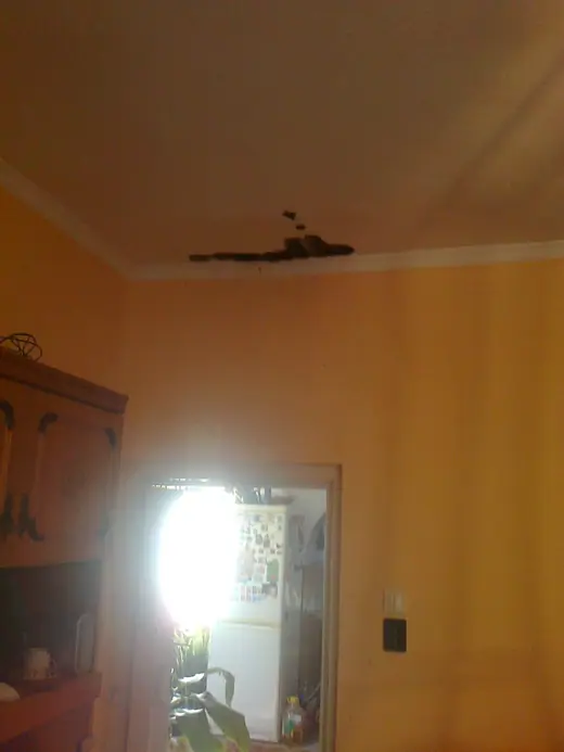 Darázsirtás, 8. kép