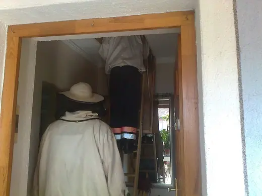 Darázsirtás, 1. kép