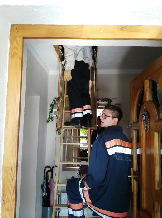 Darázsirtás, 2. kép
