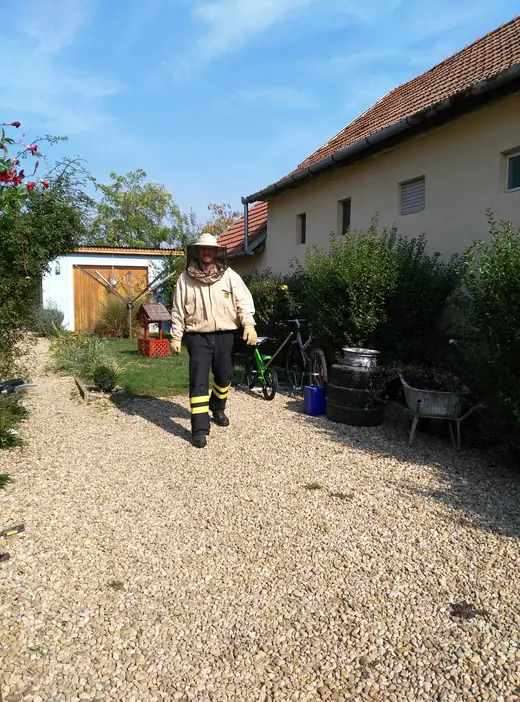 Darázsirtás, 7. kép