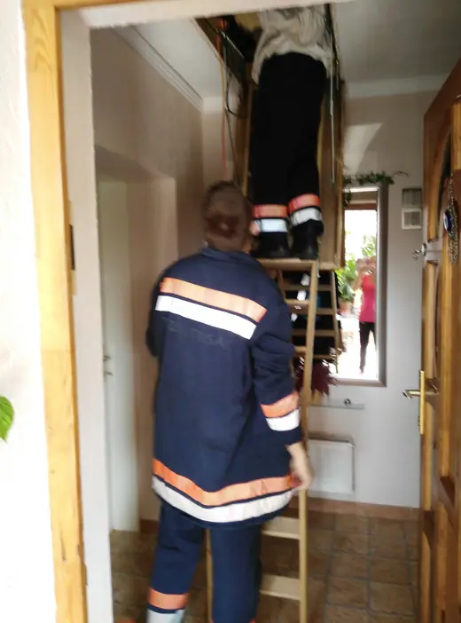 Darázsirtás, 9. kép