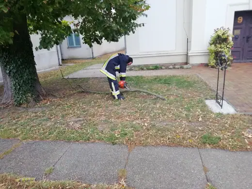 Gallyak a református templom előkertjében, 3. kép