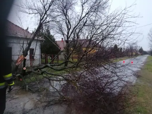 Viharkár a Köztársaság és a Kossuth utcában, 2. kép