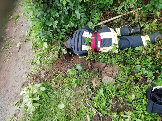 Kiskutyát mentettünk a Jókai utcában, 4. kép