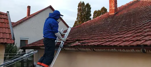 Darázsirtás, 1. kép