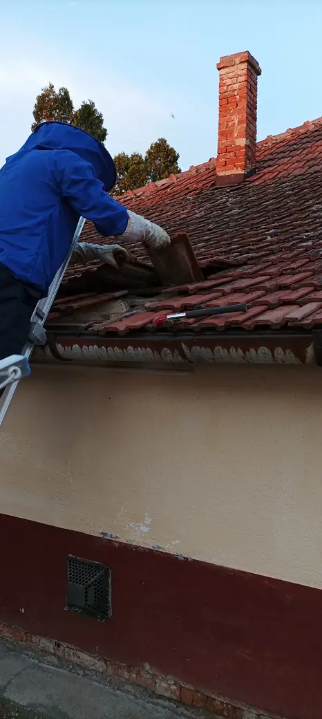 Darázsirtás, 2. kép