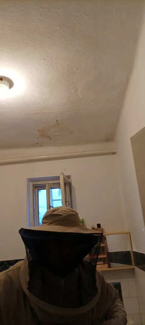 Darázsirtás, 3. kép