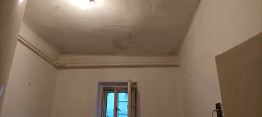 Darázsirtás, 4. kép