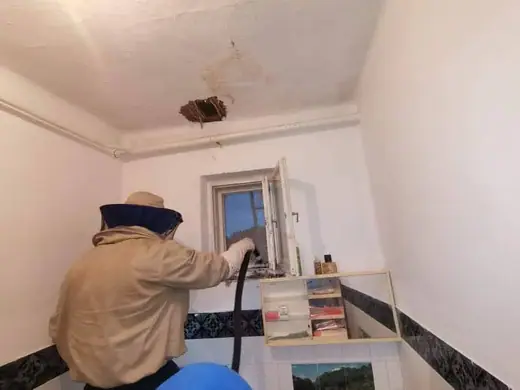 Darázsirtás, 11. kép