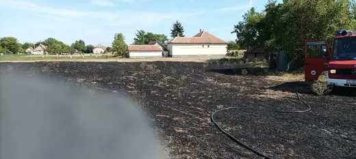 Aljnövényzet égett a Szabadság utcában, 4. kép