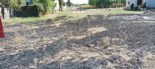 Aljnövényzet égett a Szabadság utcában, 13. kép
