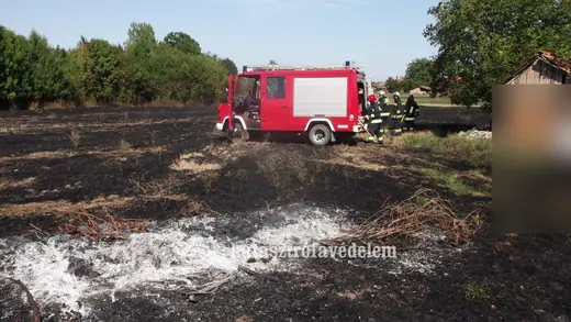 Aljnövényzet égett a Szabadság utcában, 16. kép