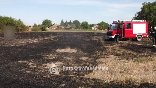 Aljnövényzet égett a Szabadság utcában, 17. kép