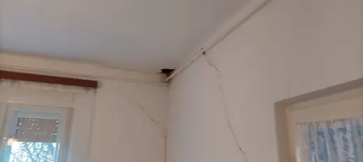 Darázsirtás, 2. kép