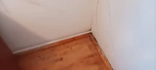 Darázsirtás, 3. kép
