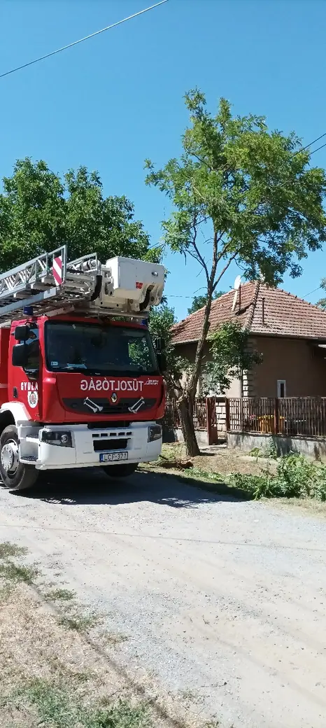 Kettétört fa a Köztársaság utcában, 2. kép