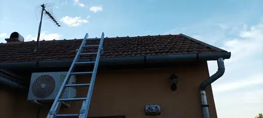 Darázsirtás, 1. kép