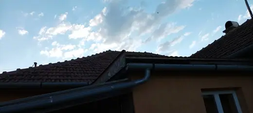 Darázsirtás, 2. kép