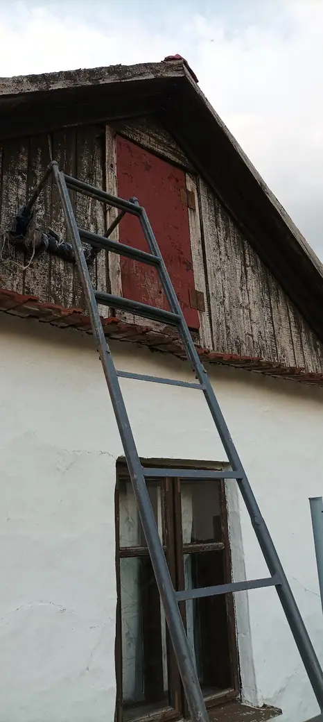 Darázsirtás, 10. kép