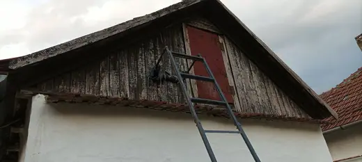 Darázsirtás, 11. kép