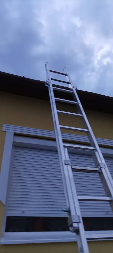 Darázsirtás, 12. kép