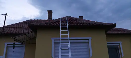 Darázsirtás, 13. kép