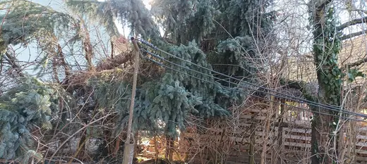 Viharkár utáni munka, 4. kép