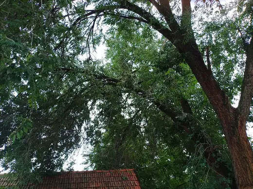 Viharkár-elhárítás Méhkeréken, 3. kép