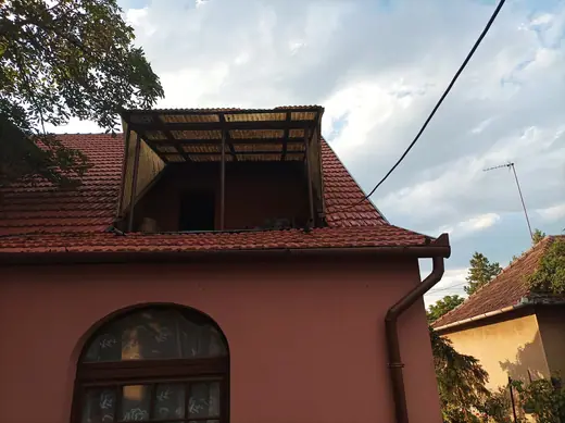 Darázsirtás, 1. kép