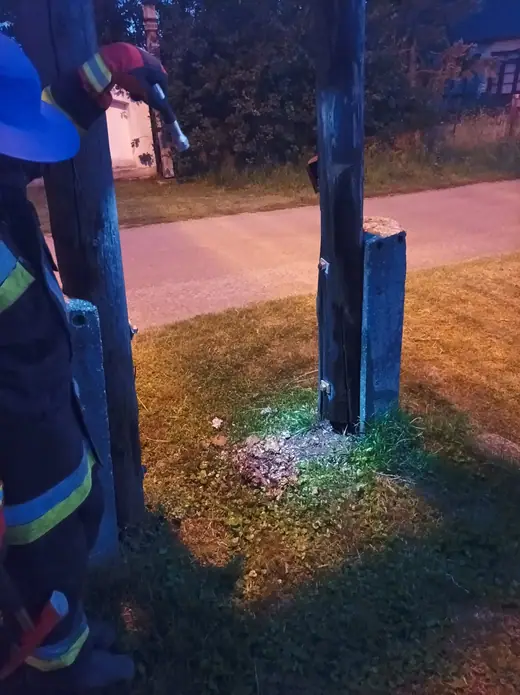 Darázsirtás, 1. kép
