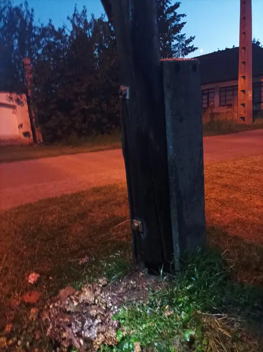 Darázsirtás, 4. kép