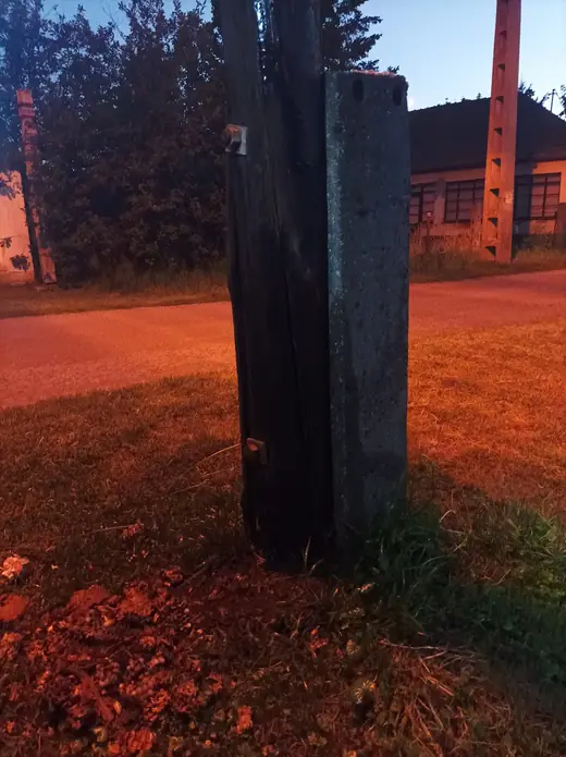 Darázsirtás, 5. kép